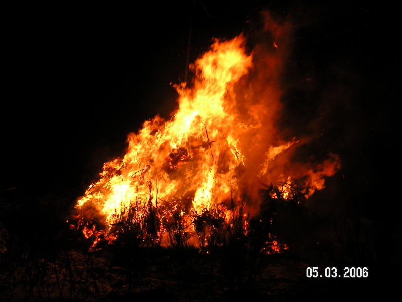 PICT4279.JPG