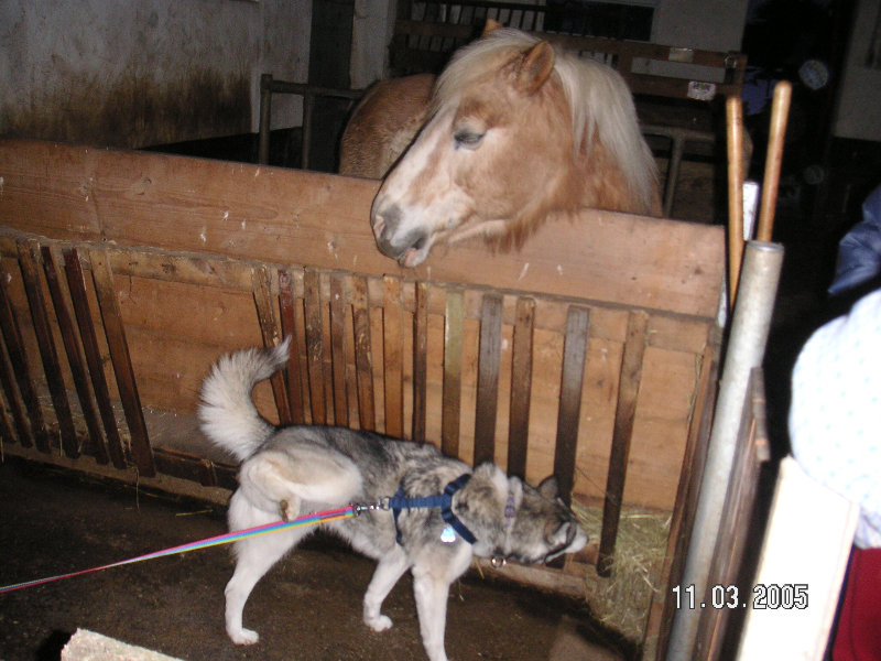PICT1384.JPG