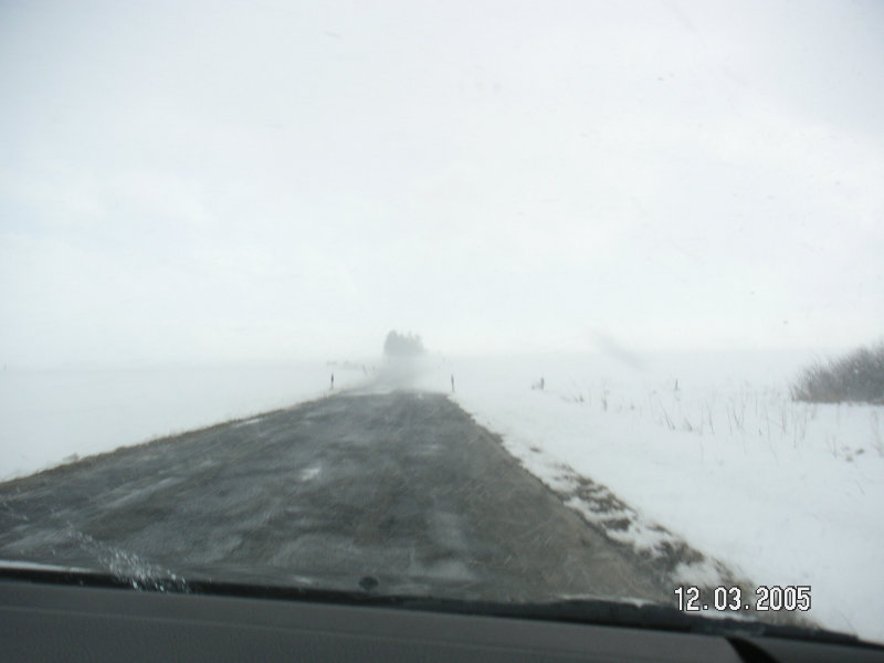 PICT1439.JPG