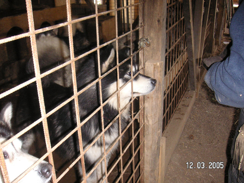 PICT1455.JPG