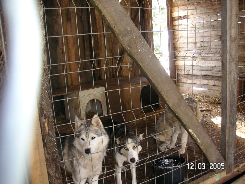 PICT1456.JPG