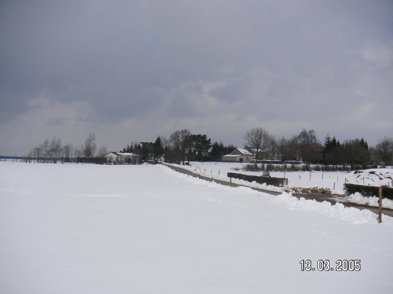 PICT1483.JPG