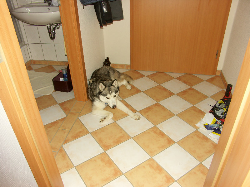 PICT7784.JPG